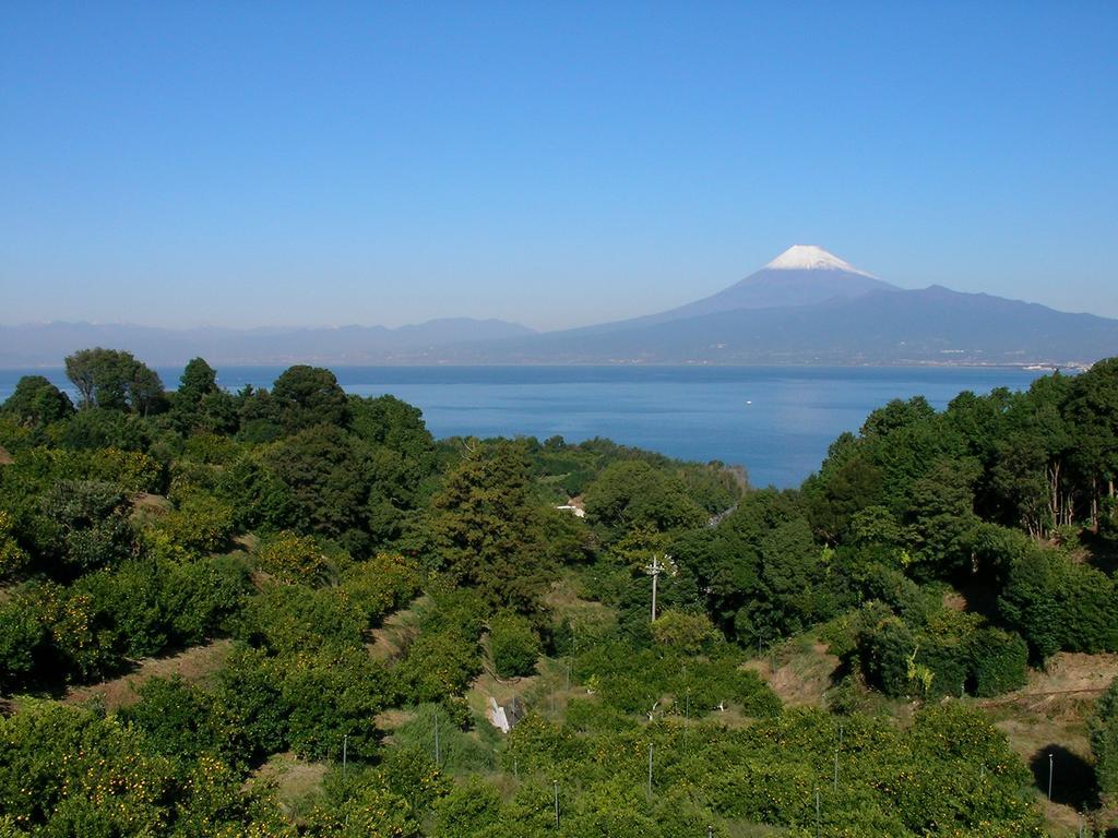 ホテルYamaya 沼津市 エクステリア 写真